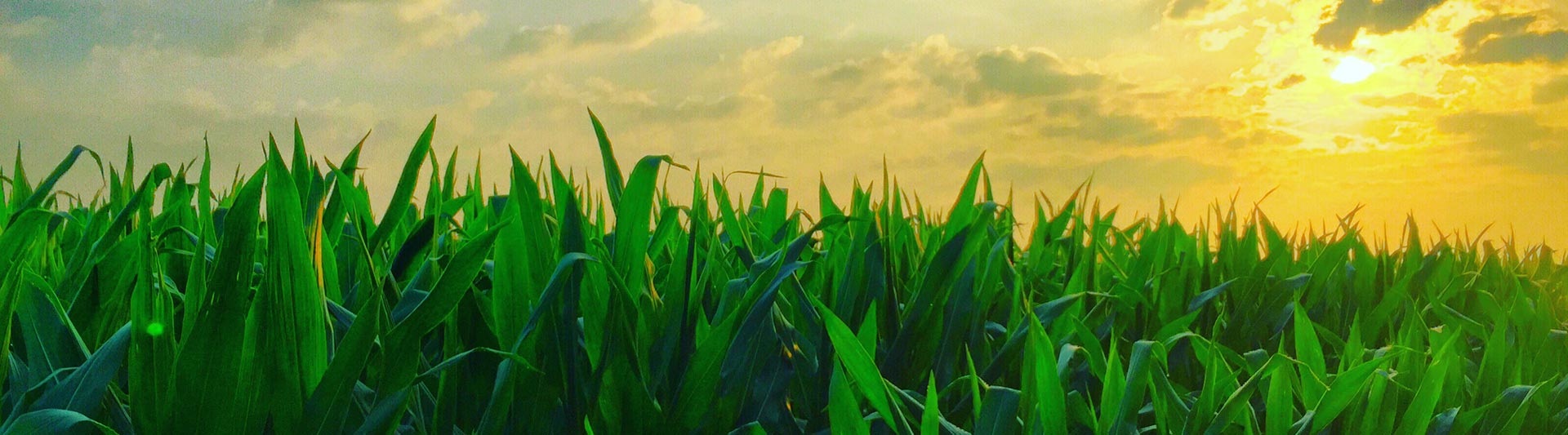 Utah Agricultural Helicopter Services